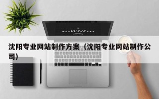 大庆沈阳专业网站制作方案（沈阳专业网站制作公司）
